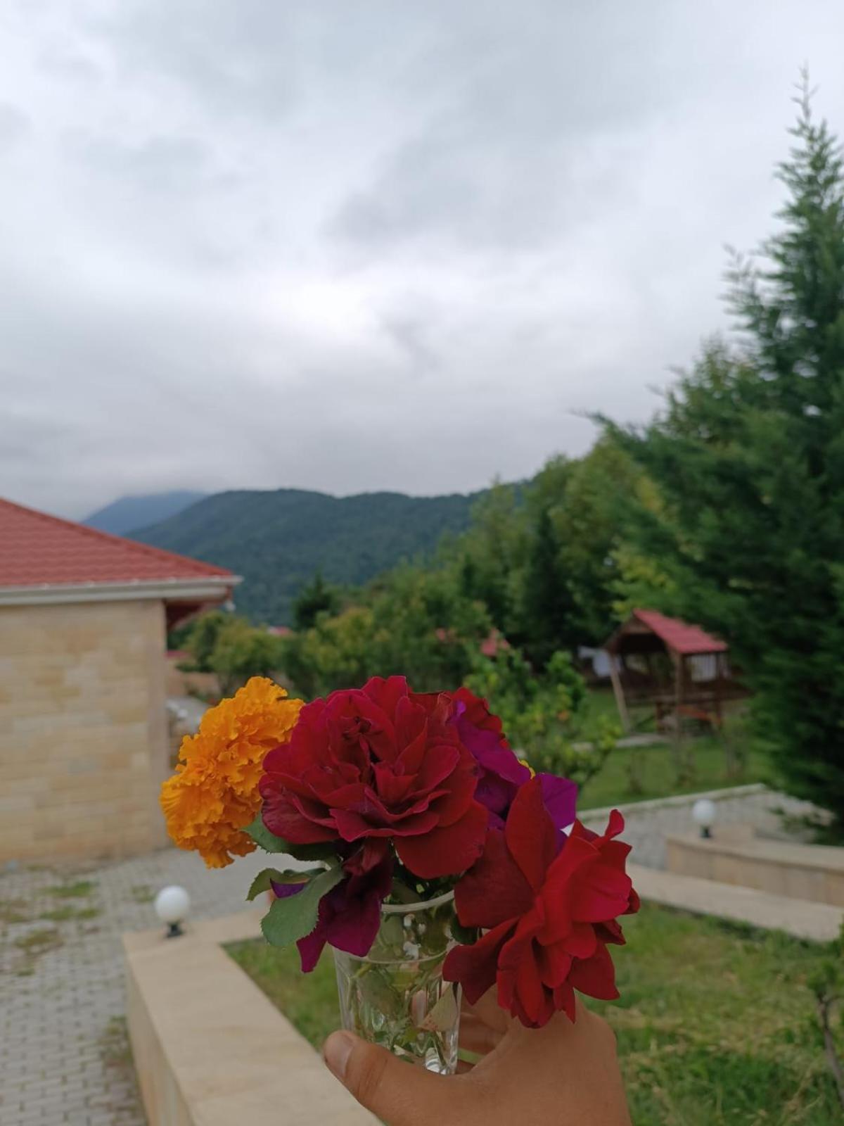 Gabala Bliss Inn Hotel And Restaurant Exterior photo