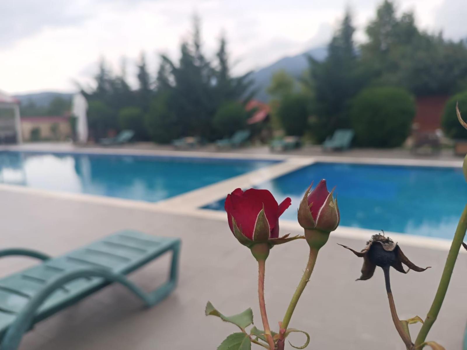 Gabala Bliss Inn Hotel And Restaurant Exterior photo