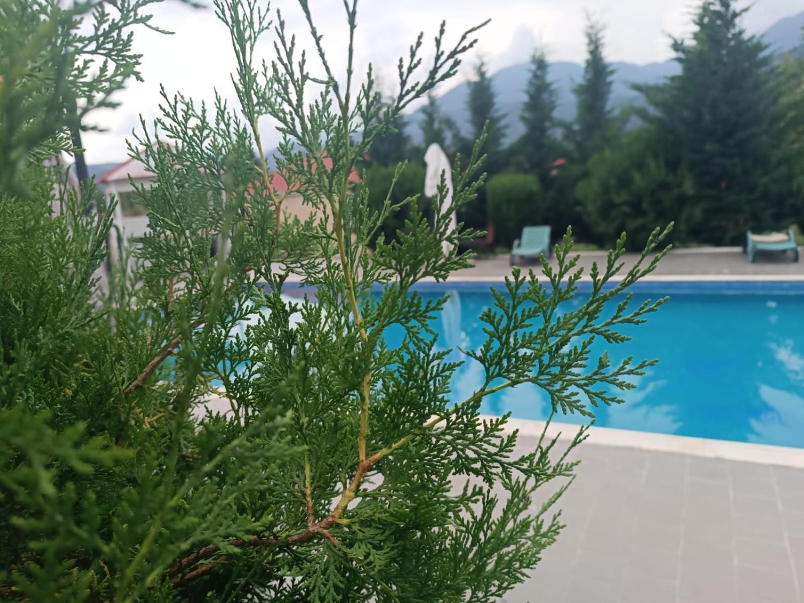 Gabala Bliss Inn Hotel And Restaurant Exterior photo