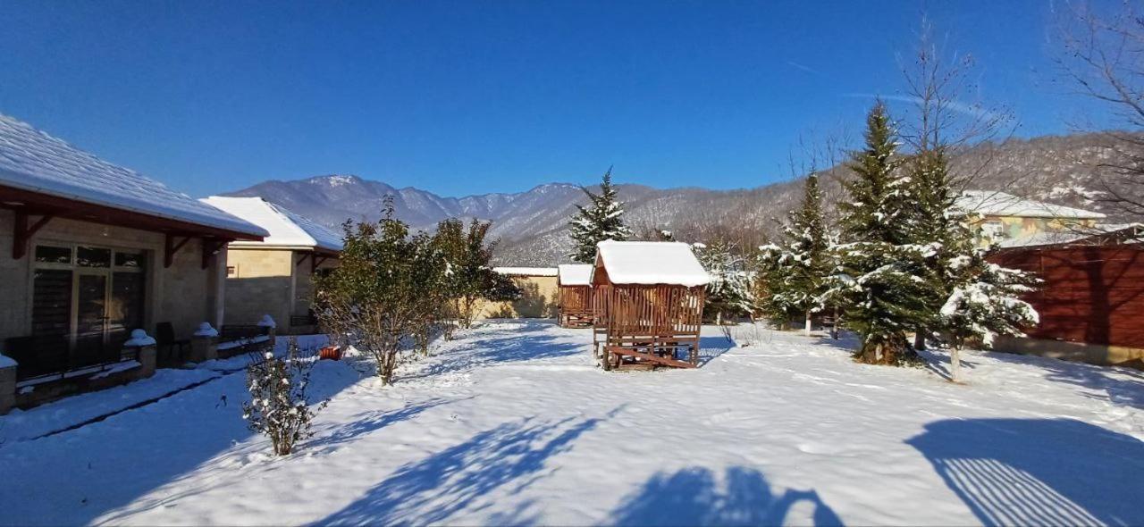 Gabala Bliss Inn Hotel And Restaurant Exterior photo